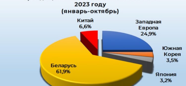 Что изменилось на авторынке Беларуси в 2023 году
